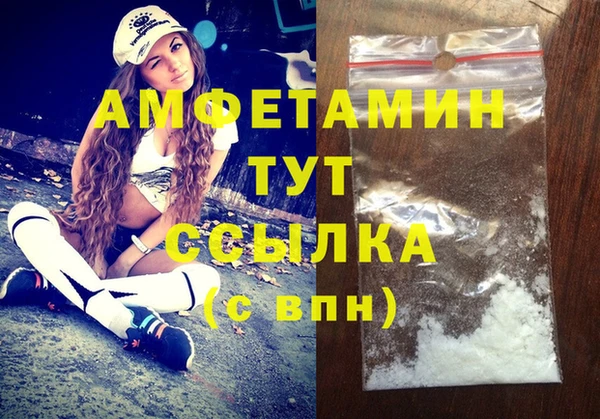 крисы Надым