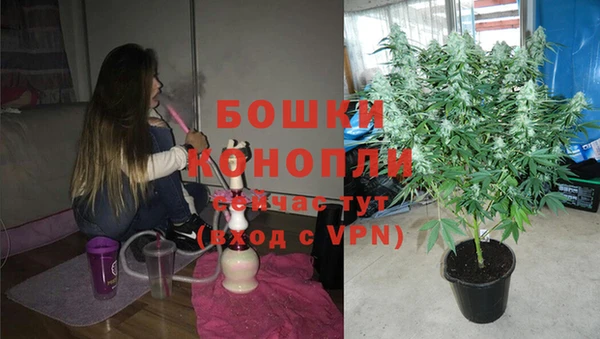 соль курить ск Новодвинск
