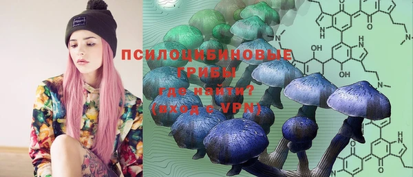 первитин Нея